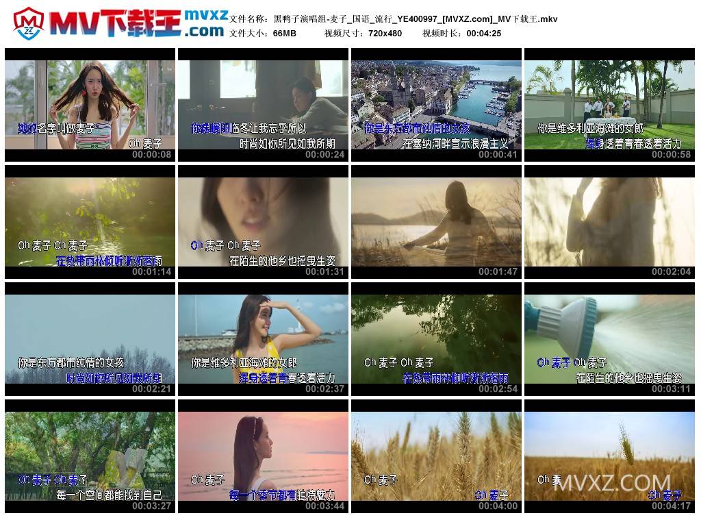 黑鸭子演唱组-麦子_国语_流行_YE400997